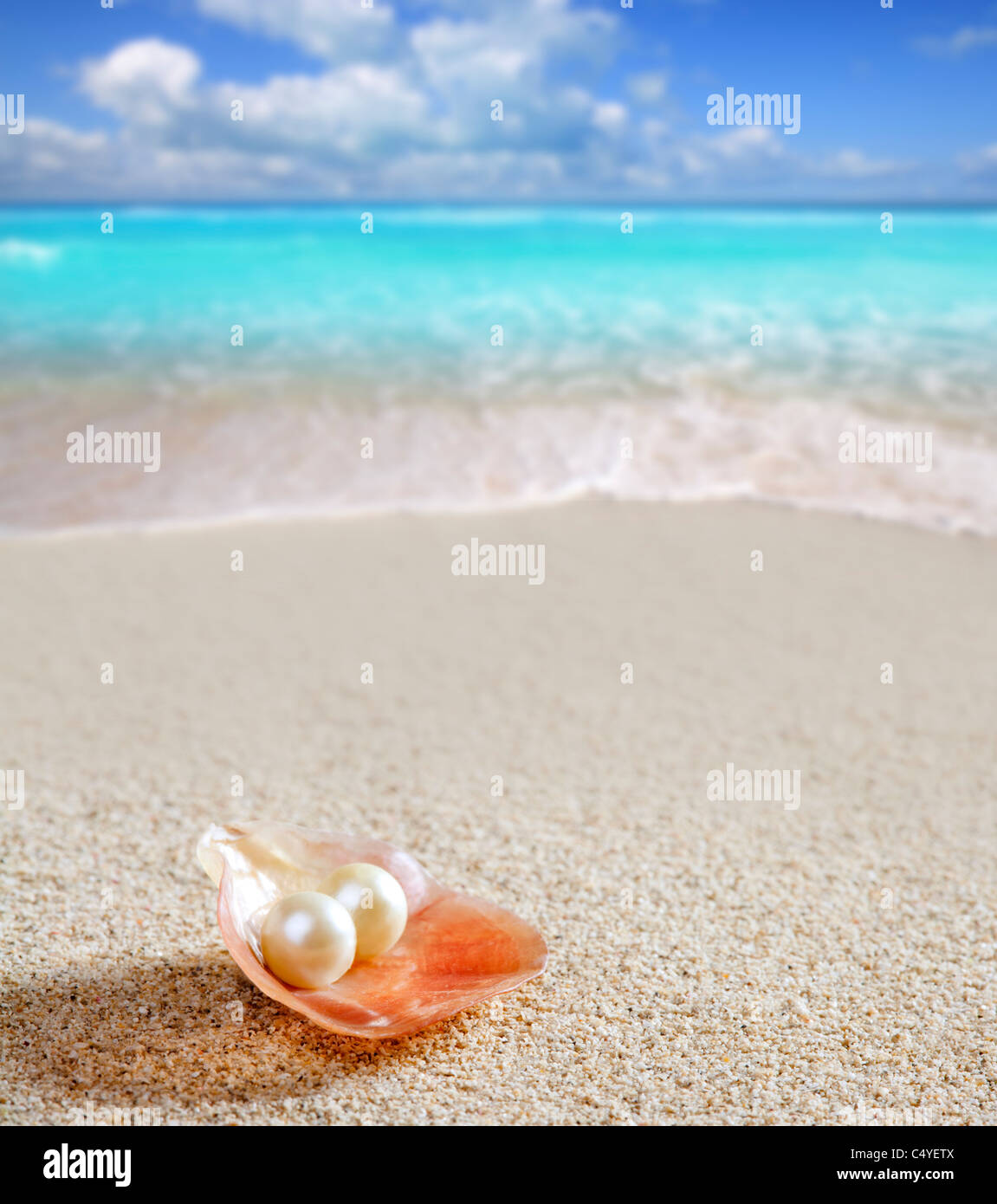 Perla caraibica sulla shell sulla spiaggia di sabbia bianca di un tropicale turchese del mare Foto Stock