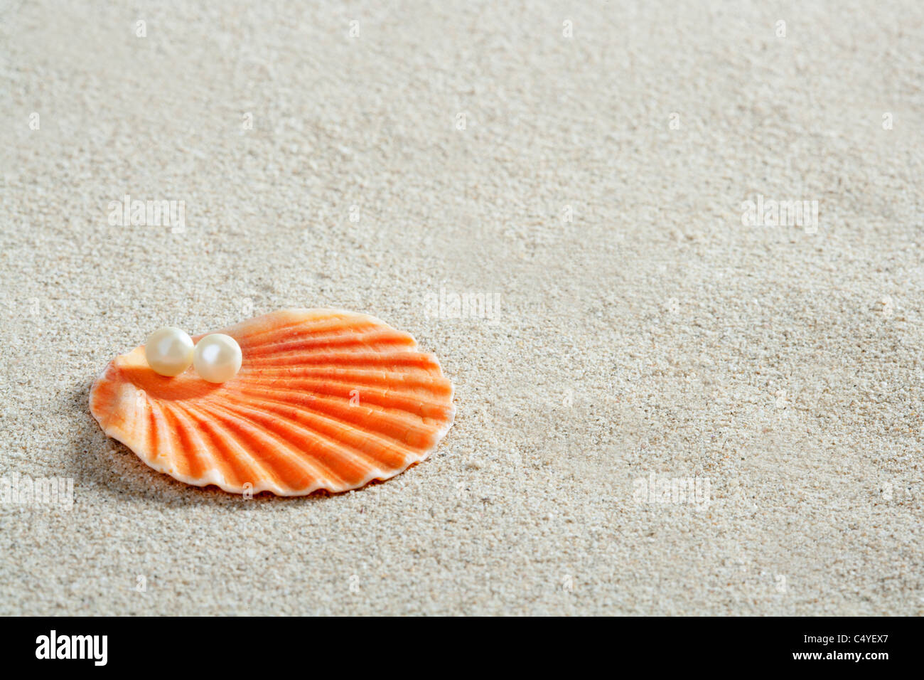 Spiaggia di sabbia bianca con perla in clam shell macro closeup Foto Stock