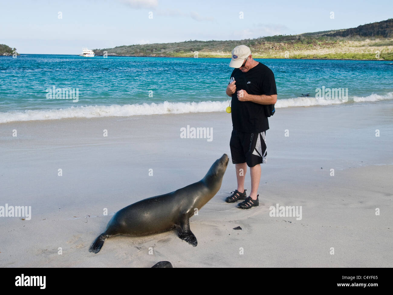 Le Galapagos Sea Lion e turistico a Santa Fe in isola le isole Galapagos Ecuador Foto Stock