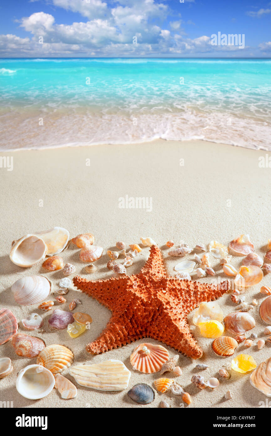 Spiaggia di sabbia di stelle marine tropicali dei Caraibi mare vacanze estive sullo sfondo Foto Stock