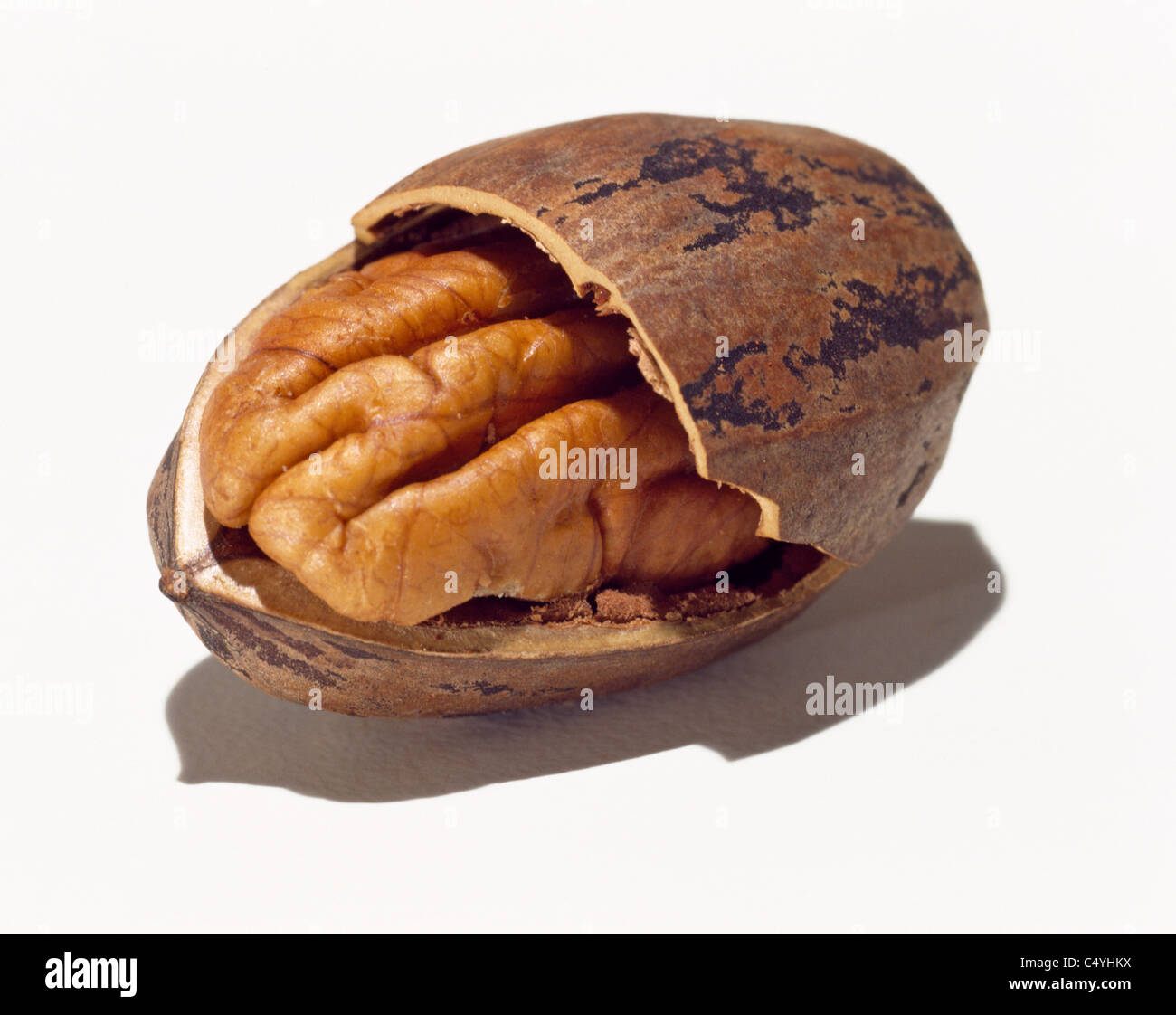 Un aperto a metà di noci pecan tagliate a guscio del dado Foto Stock