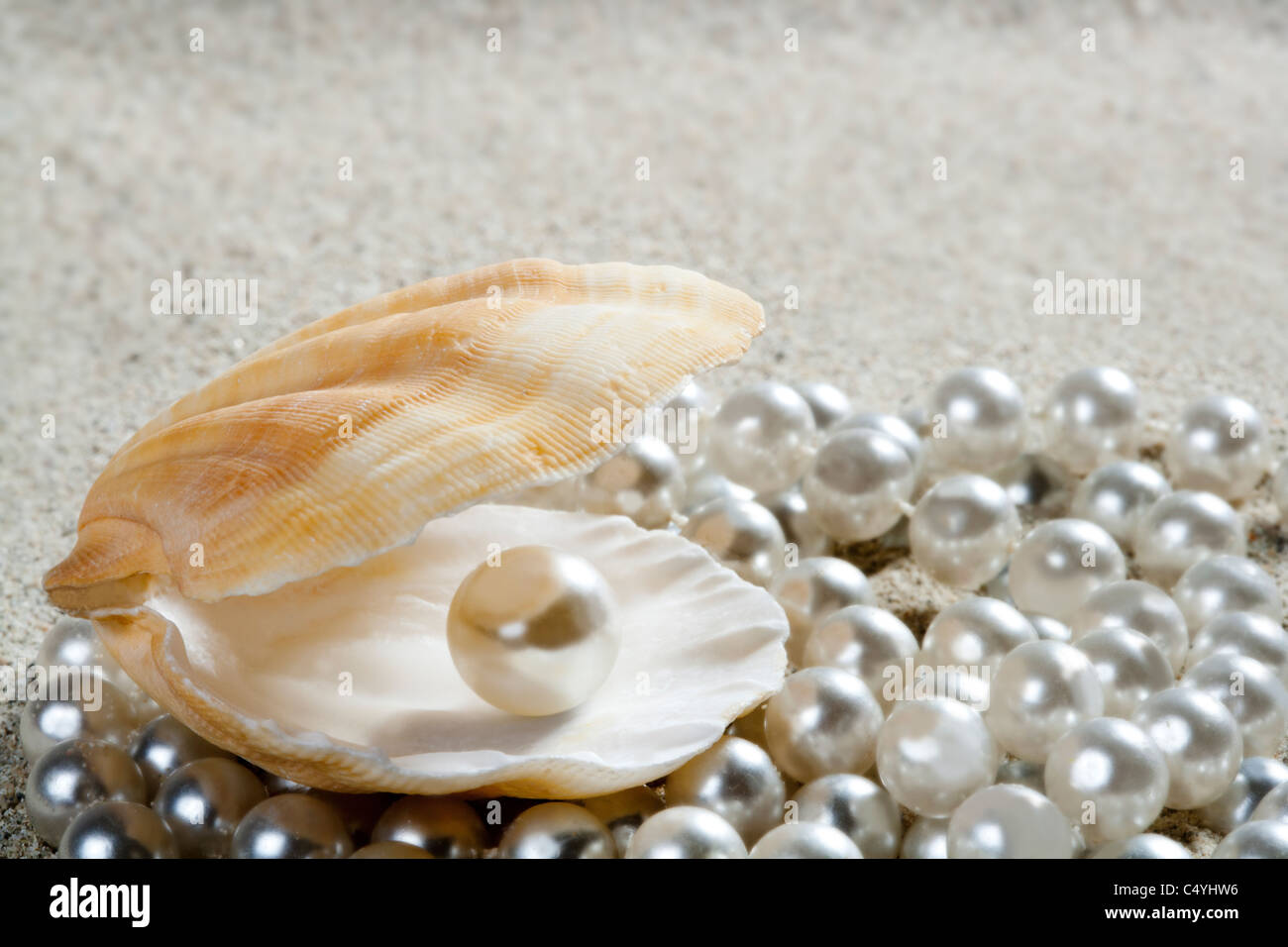 Perla caraibica all'interno clam shell sulla spiaggia di sabbia bianca Foto Stock