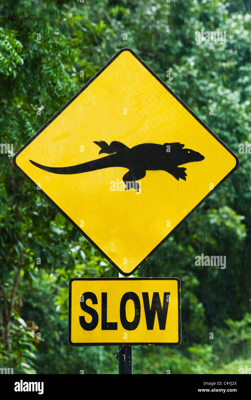 Monitor Lizard strada segno di avvertimento, Sri Lanka Foto Stock