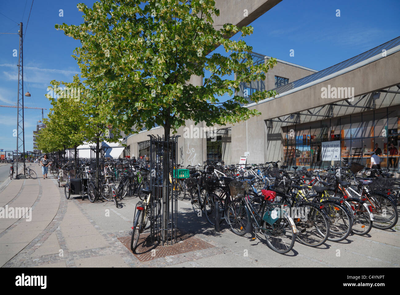 Le biciclette a noleggio sorge fuori la città stazione Østerport (Oesterport) di Copenhagen, Danimarca Foto Stock