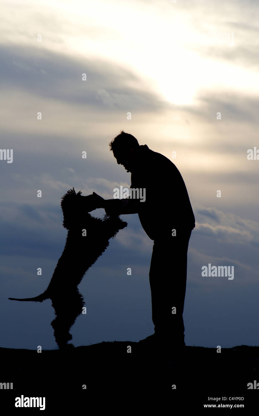 Gioco di uomo e cane in sunset Foto Stock