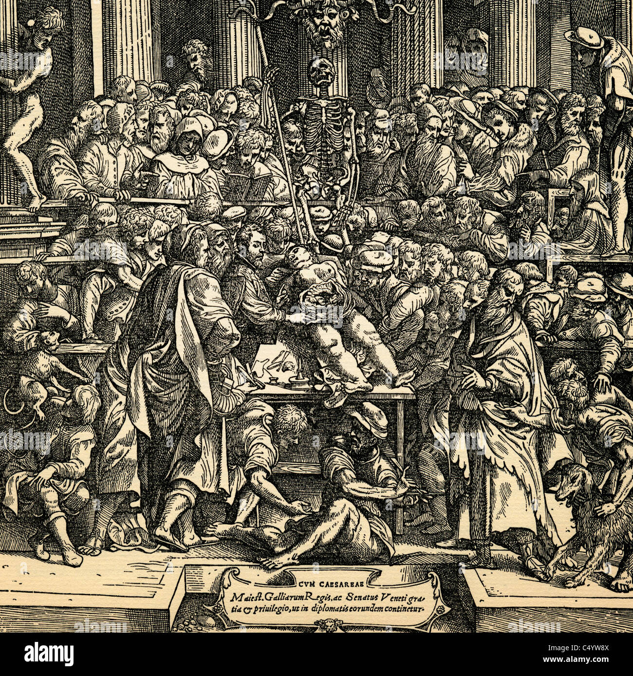 Anatomia lezione sulla pagina del titolo del De humani corporis fabrica Libri Septem da Andreas Vesalius Foto Stock