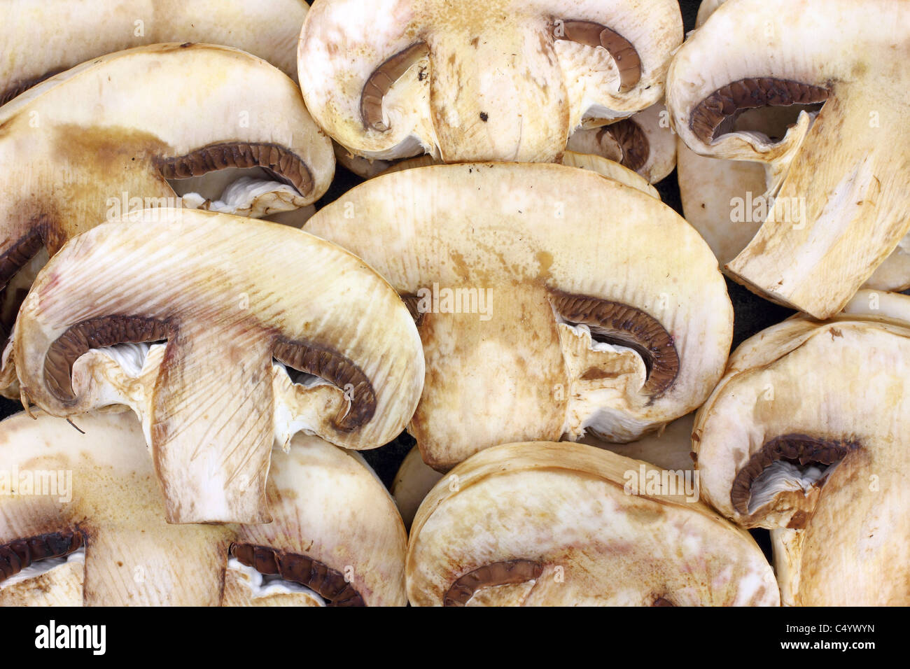 Chiudere la vista grande funghi tagliati a fettine Foto Stock