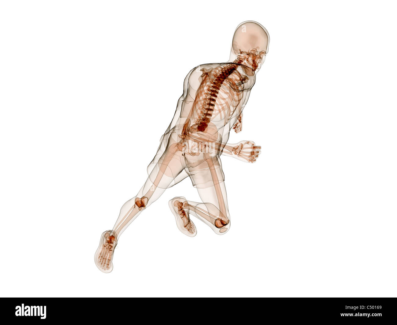 Esecuzione di scheletro Foto Stock