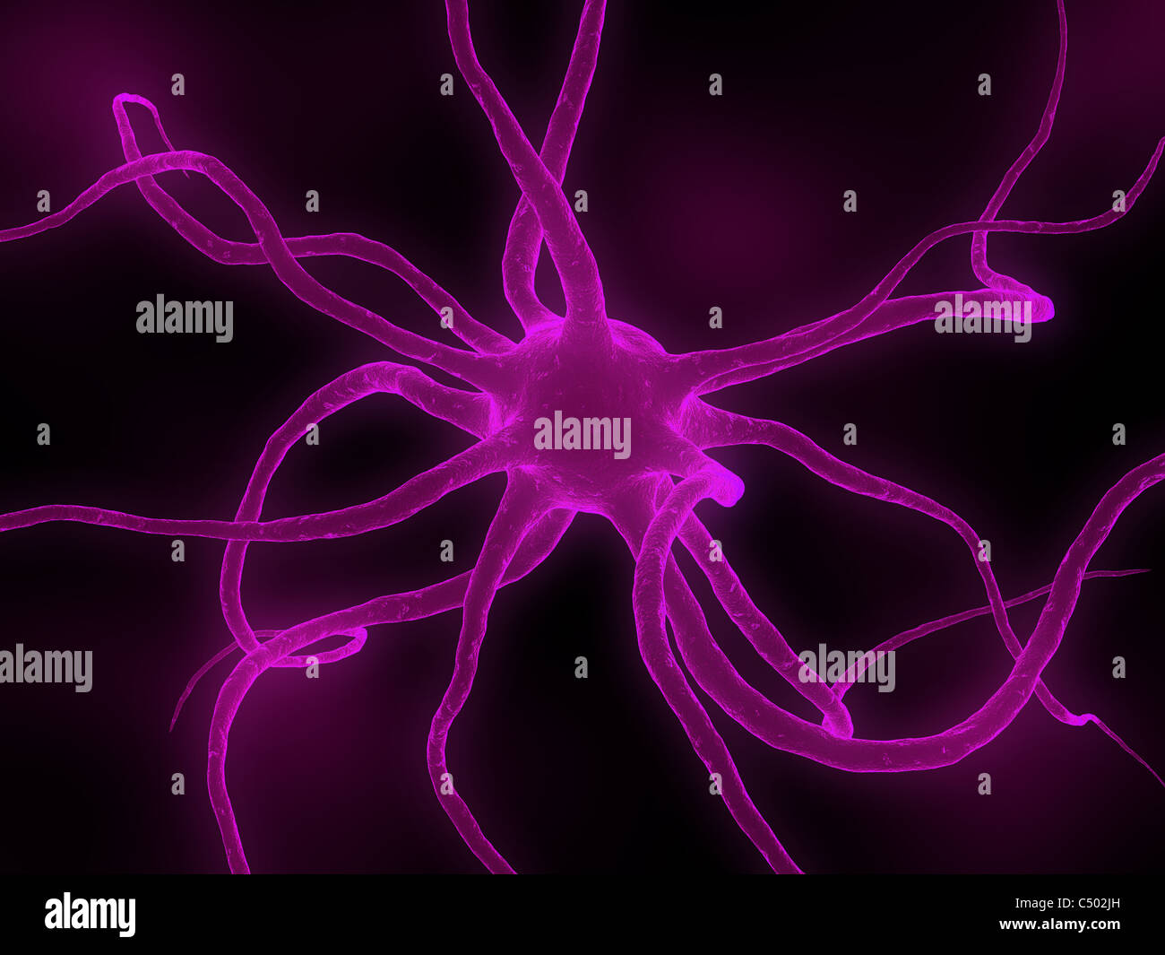 delle cellule nervose Foto Stock