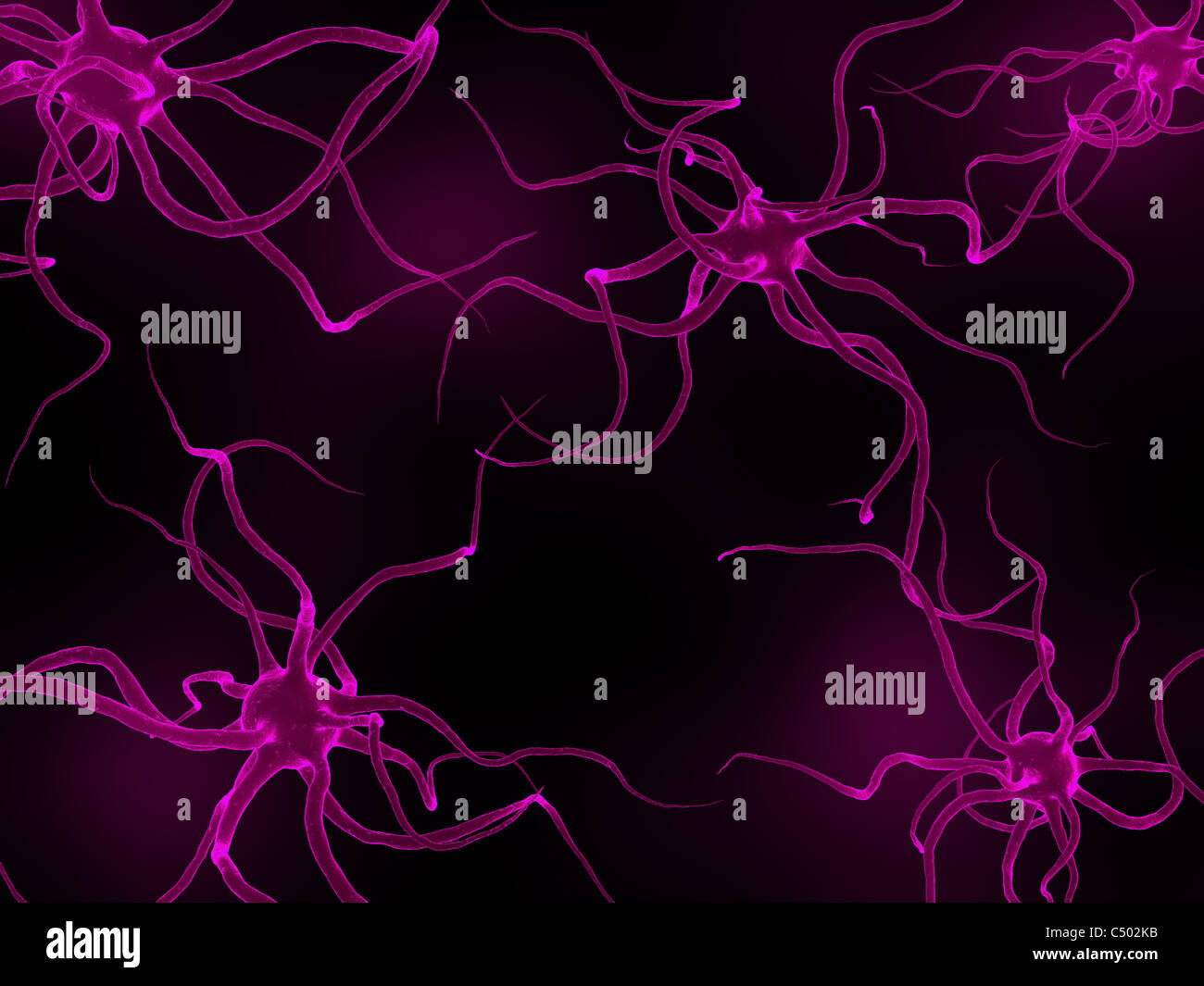 delle cellule nervose Foto Stock