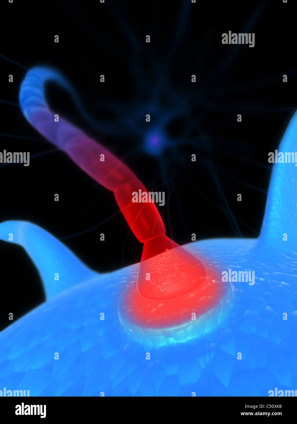ricevitore attivo Foto Stock