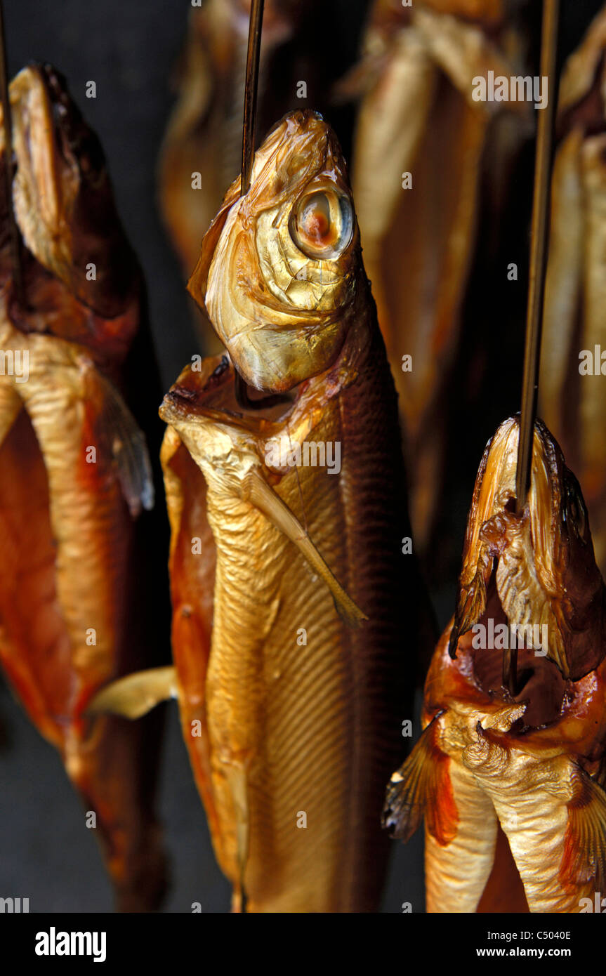 Trote affumicate appesa al gancio in una camera di fumo, Fuschl, Austria Foto Stock