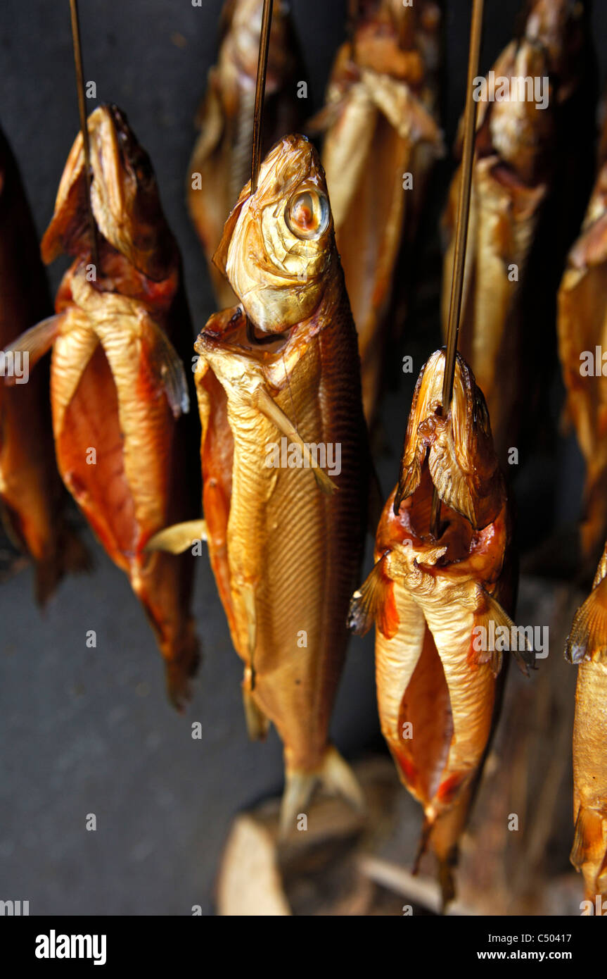 Trote affumicate appesa al gancio in una camera di fumo, Fuschl, Austria Foto Stock