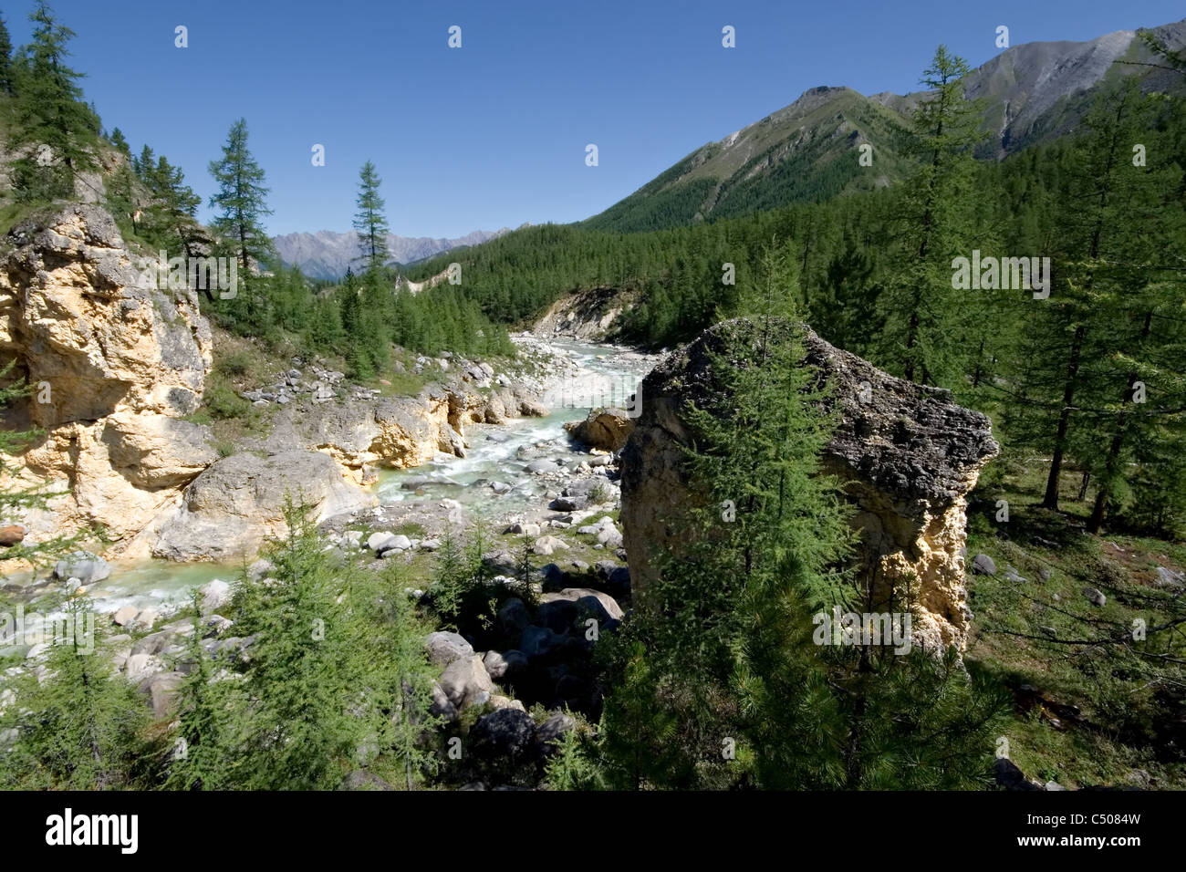 Le rocce in Siberia foresta. Fiume di montagna. Tunkinskie Goltsy. Oriente Sayan montagne. Repubblica dei Buriati. La Russia. Foto Stock