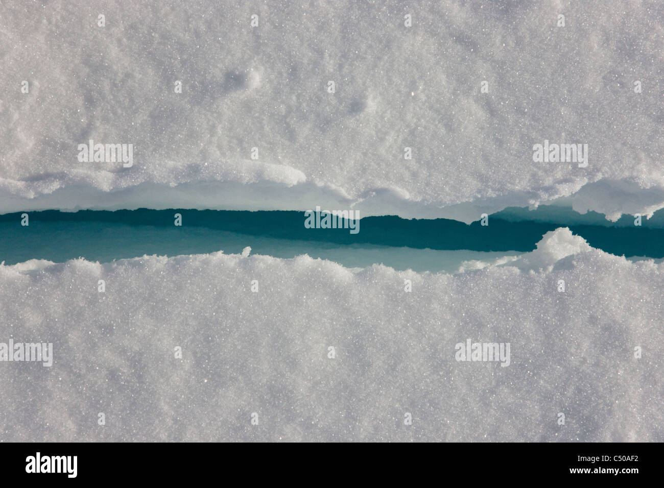 Bocchetta a lancia sul ghiaccio, Snow Hill Island, Antartide Foto Stock