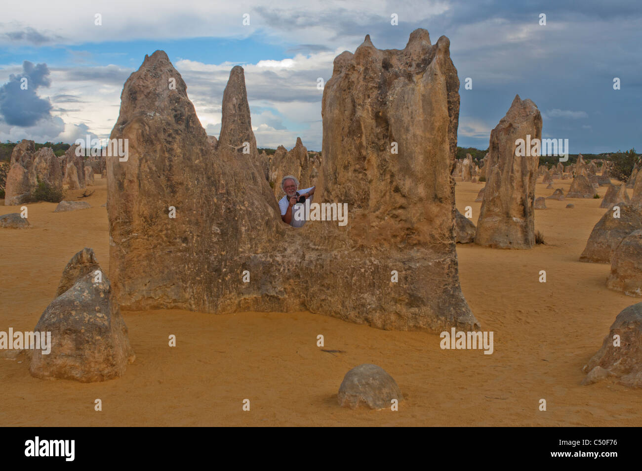 Le formazioni rocciose del Deserto Pinnacles, Australia occidentale Foto Stock