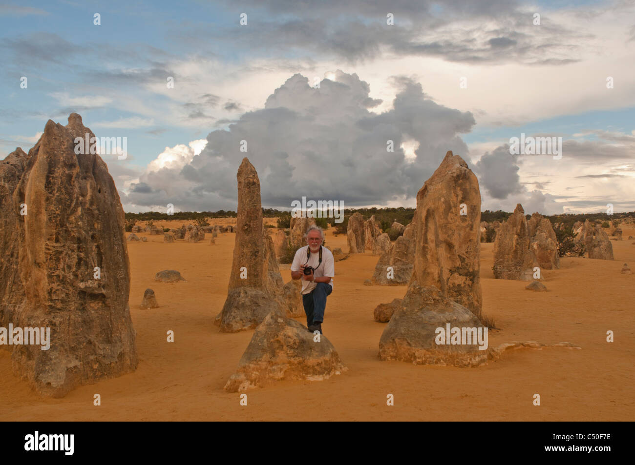 Le formazioni rocciose del Deserto Pinnacles, Australia occidentale Foto Stock