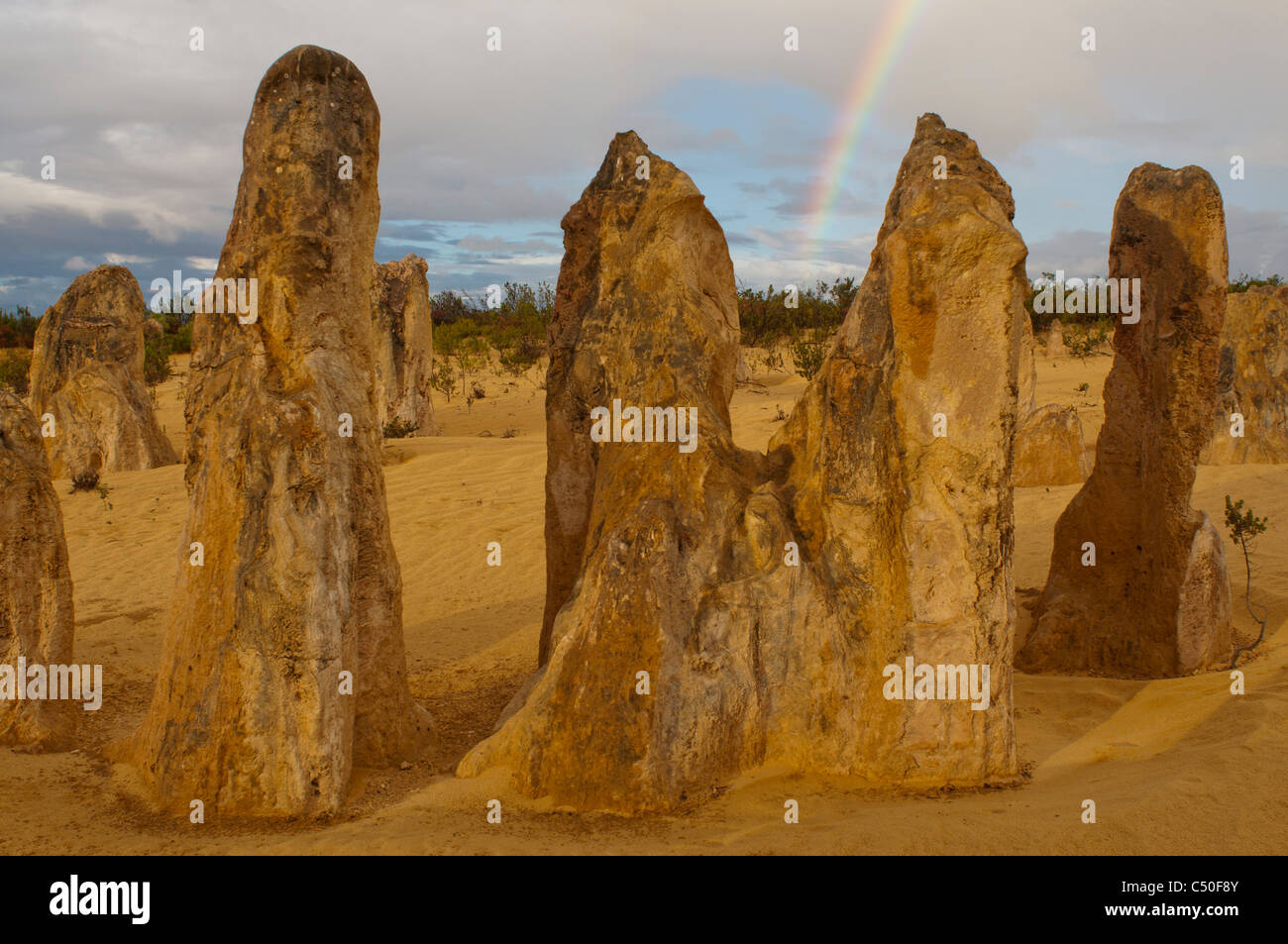 Le formazioni rocciose del Deserto Pinnacles, Australia occidentale Foto Stock