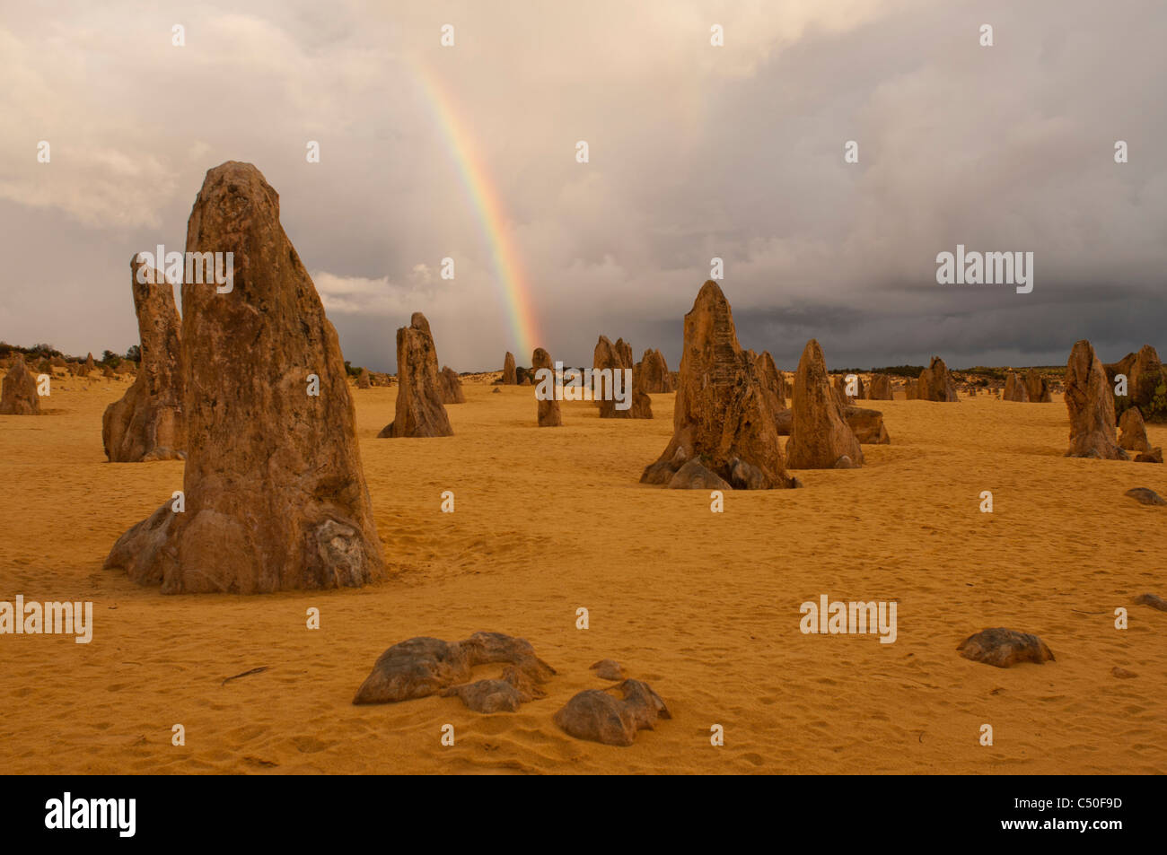 Le formazioni rocciose del Deserto Pinnacles, Australia occidentale Foto Stock