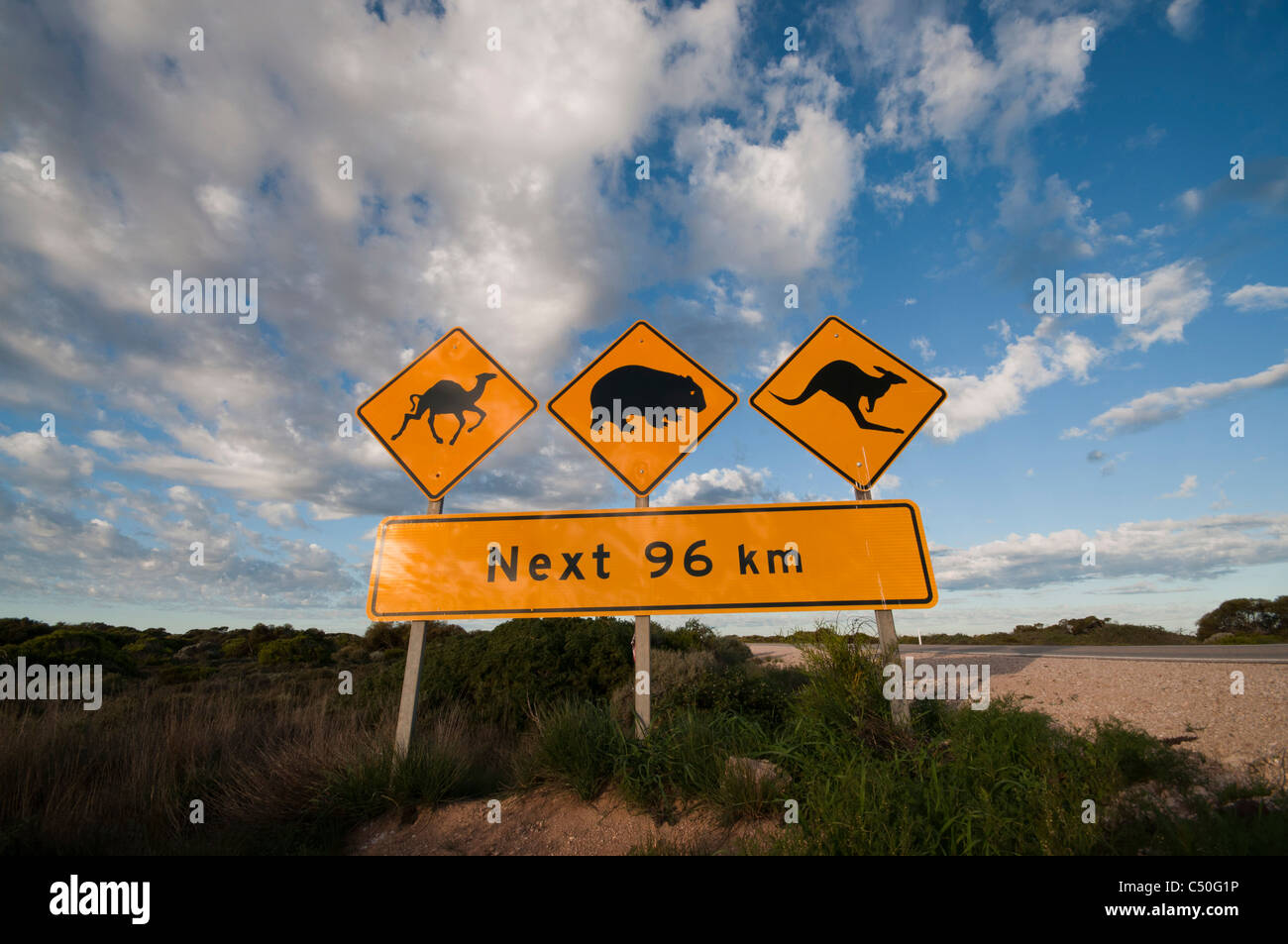 Segnaletica stradale sulla Nullarbor Plain indicante la presenza di cammelli, Wombat, e canguri sulla strada Foto Stock
