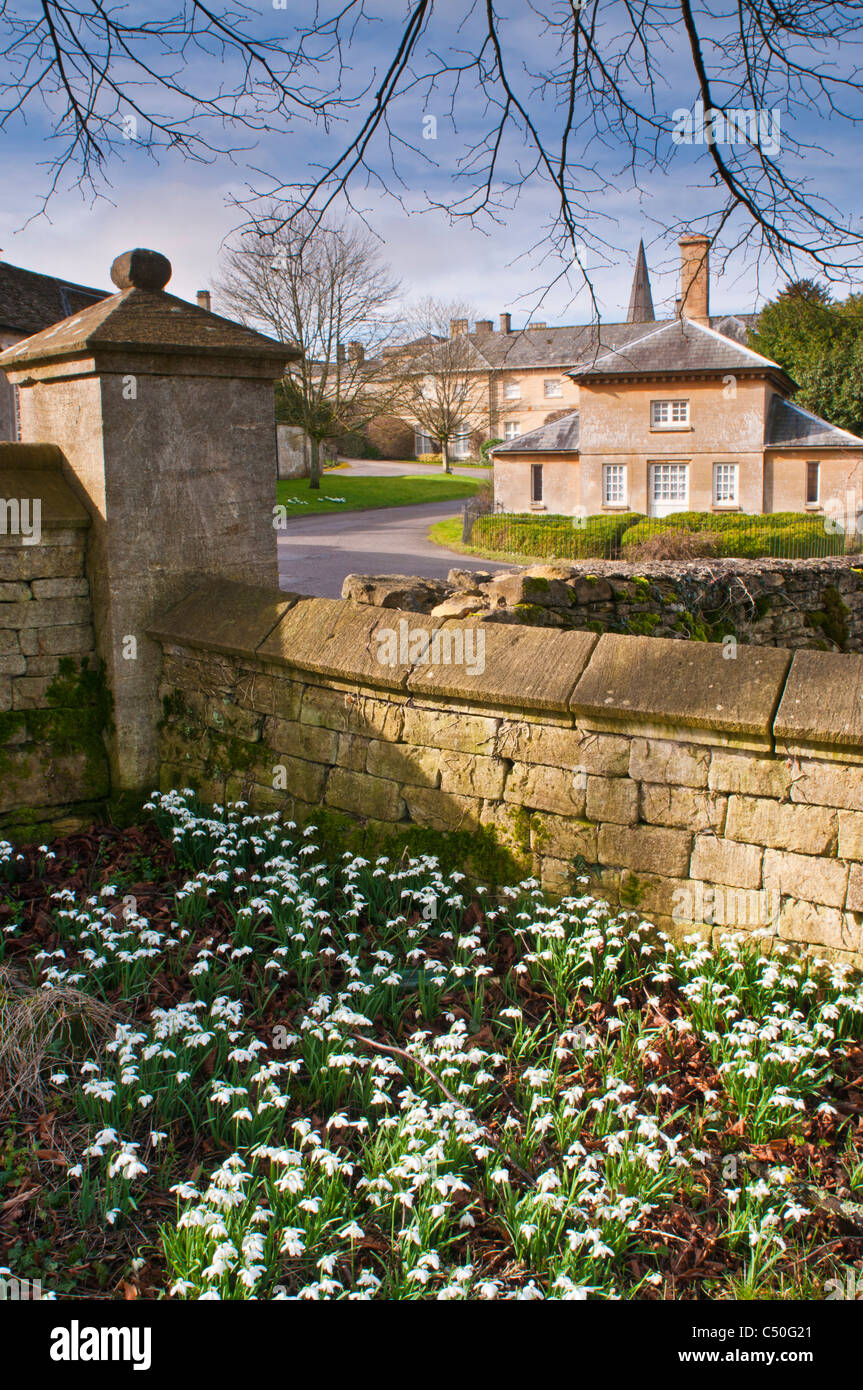 Snowdrops a Sherborne, Gloucestershire, Cotswolds, REGNO UNITO Foto Stock