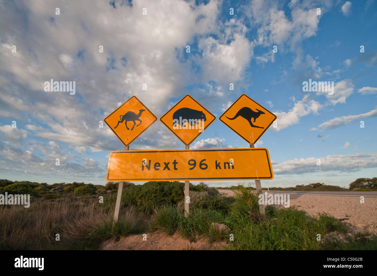 Segnaletica stradale sulla Nullarbor Plain indicante la presenza di cammelli, Wombat, e canguri sulla strada Foto Stock