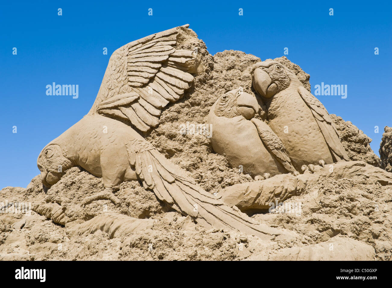 Pappagalli al Sand Sculpture Festival sulla spiaggia lungomare a Weston Super Mare Somerset South West England Regno Unito Foto Stock