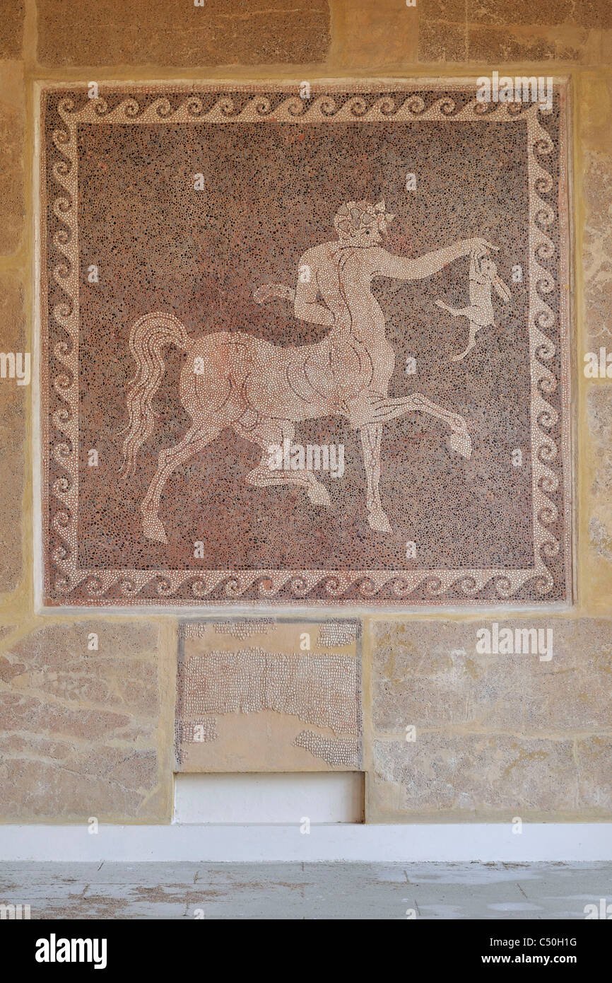 Rodi. La Grecia. Il museo archeologico, la Città Vecchia, la città di Rodi. Pavimento a mosaico di una ricca casa di Rodi. Centauro di 3° C BC. Foto Stock