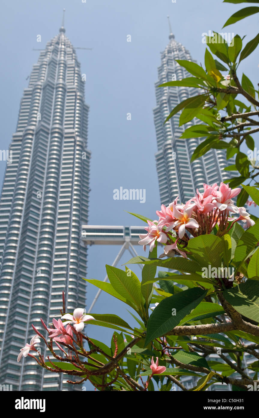 Petronas Twin Towers, visto dal Parco KLCC, Kuala Lumpur, Malesia, Asia sud-orientale, Asia Foto Stock