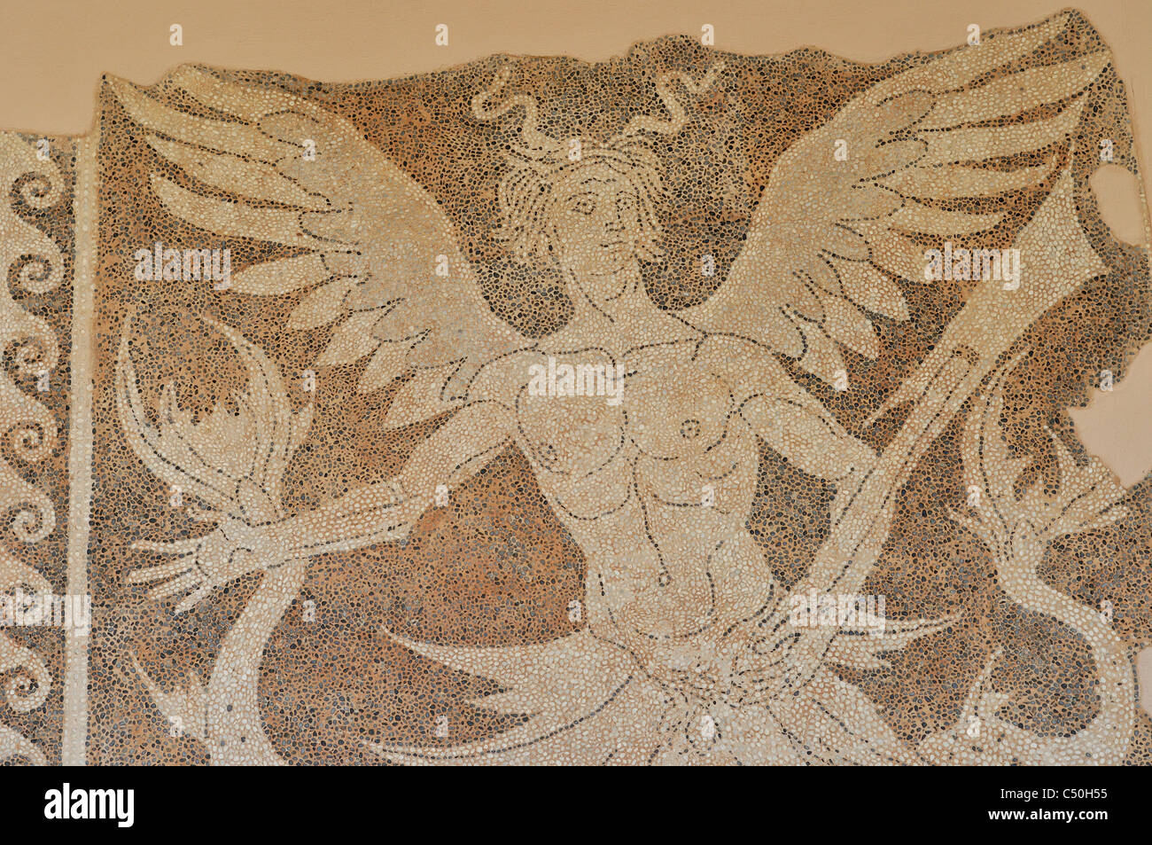 Rodi. La Grecia. Il museo archeologico, la Città Vecchia, la città di Rodi. Pavimento a mosaico con una rappresentanza di Triton. 3° C BC. Foto Stock