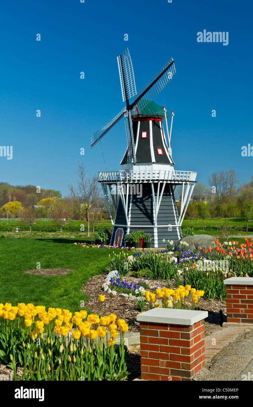 Un mulino a vento con molla tulip fiori sulla isola di Mulino a vento in Olanda, Michigan, Stati Uniti d'America. Foto Stock