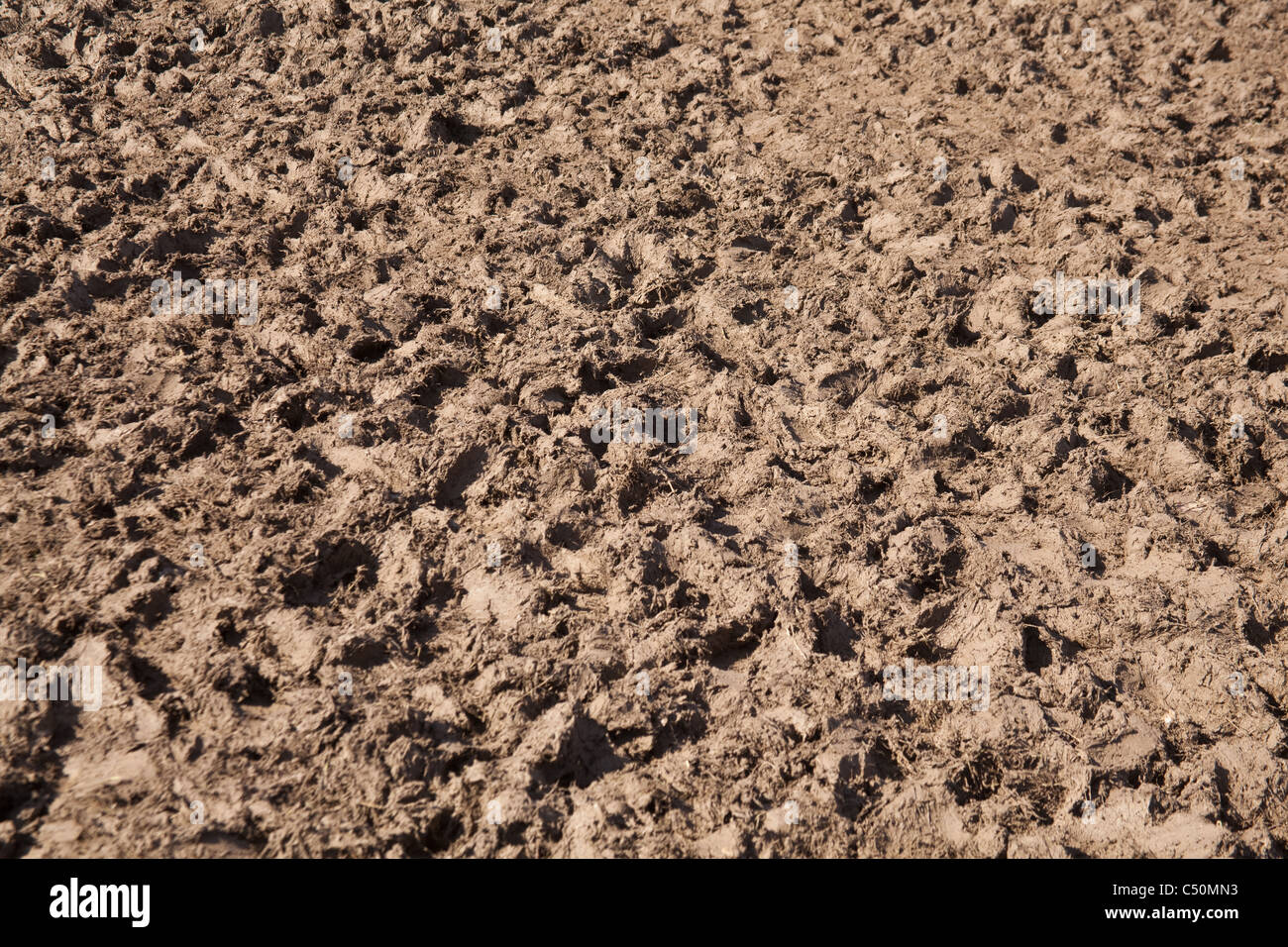 Terreni fangosi area di mercato presso il festival di Glastonbury 2011. Foto Stock