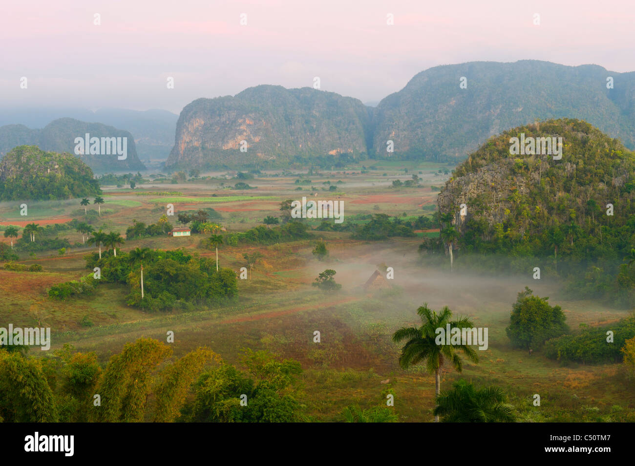 Vinales Valley all'alba, Mogotes, Pinar del Rio Provincia, Cuba Foto Stock