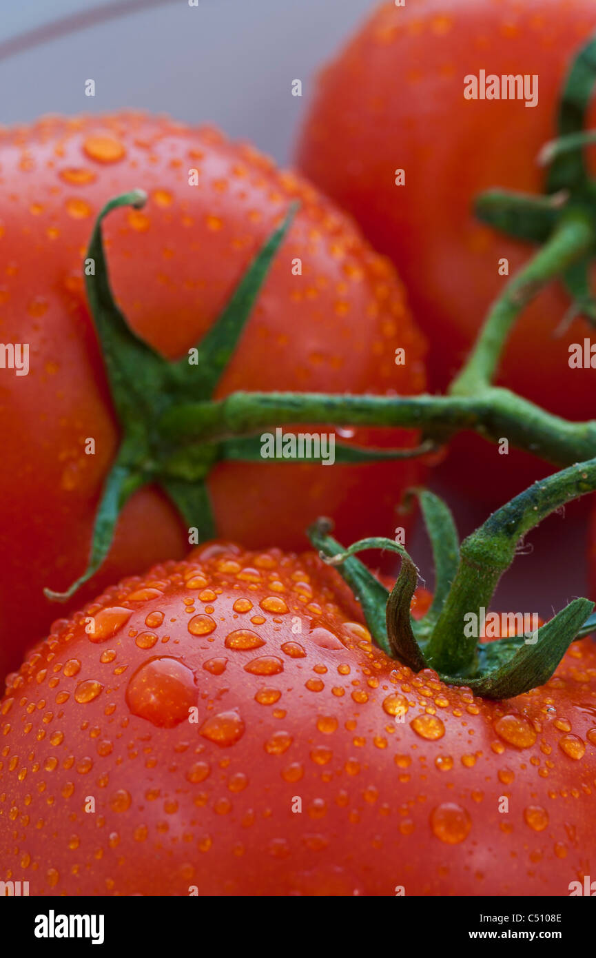 L'immagine verticale di pomodori con vite. Foto Stock