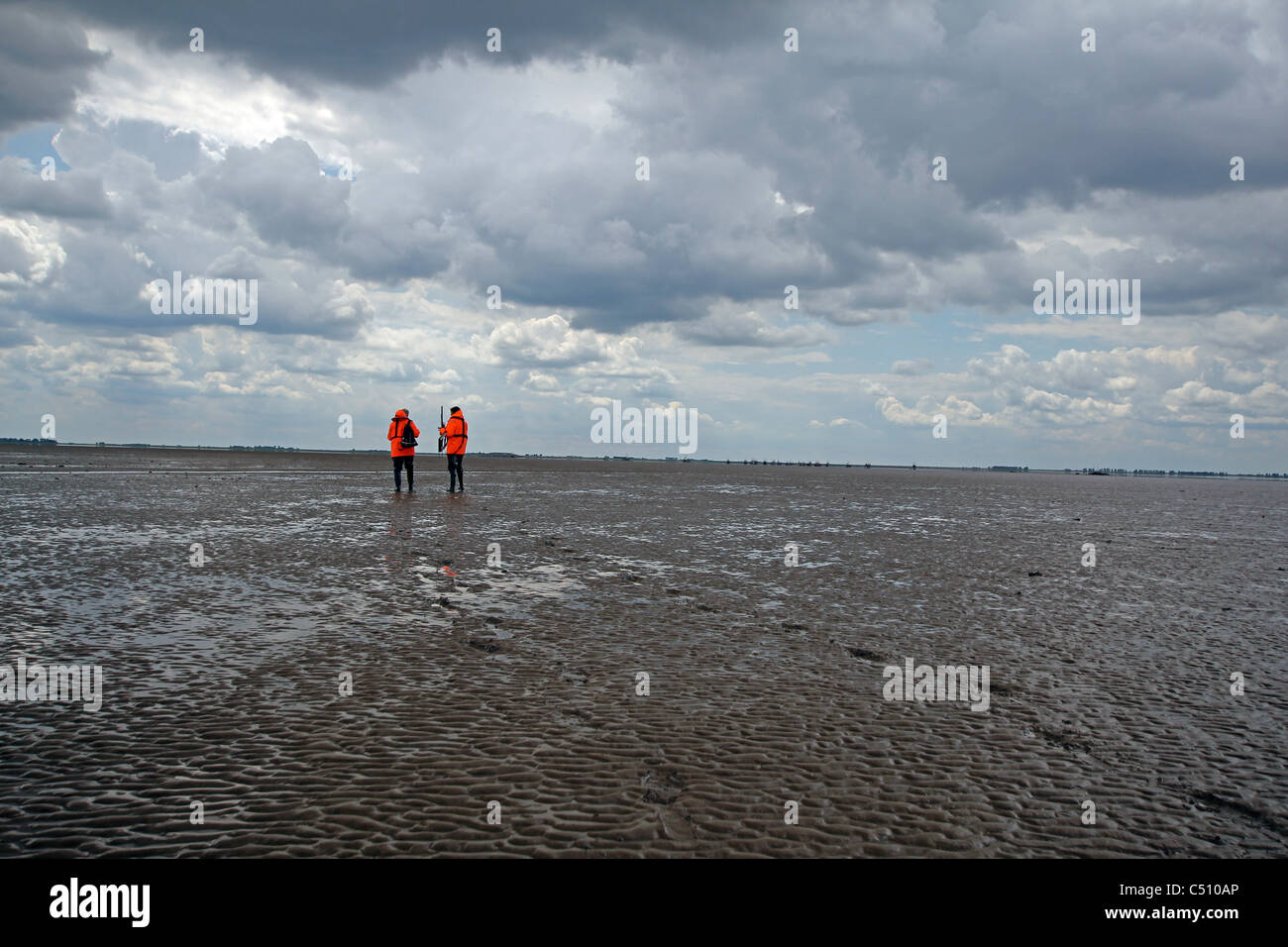 Orientale per la pesca costiera e Consevation ufficiali (EIFCO) a piedi fuori attraverso il fango e sabbia appartamenti dell'Estuario di lavaggio Foto Stock