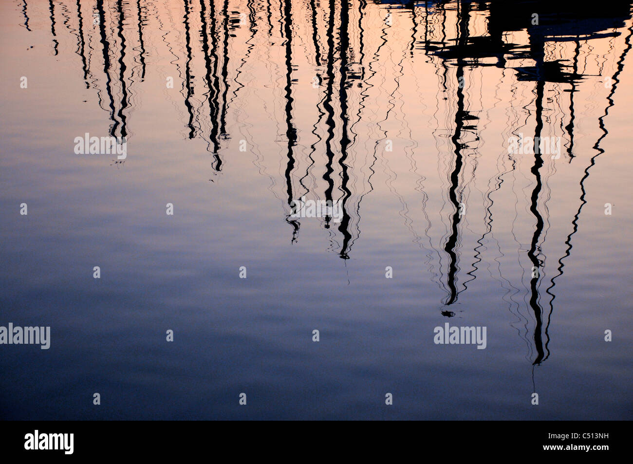 Stagliano alberi riflessi sull'acqua al tramonto Foto Stock