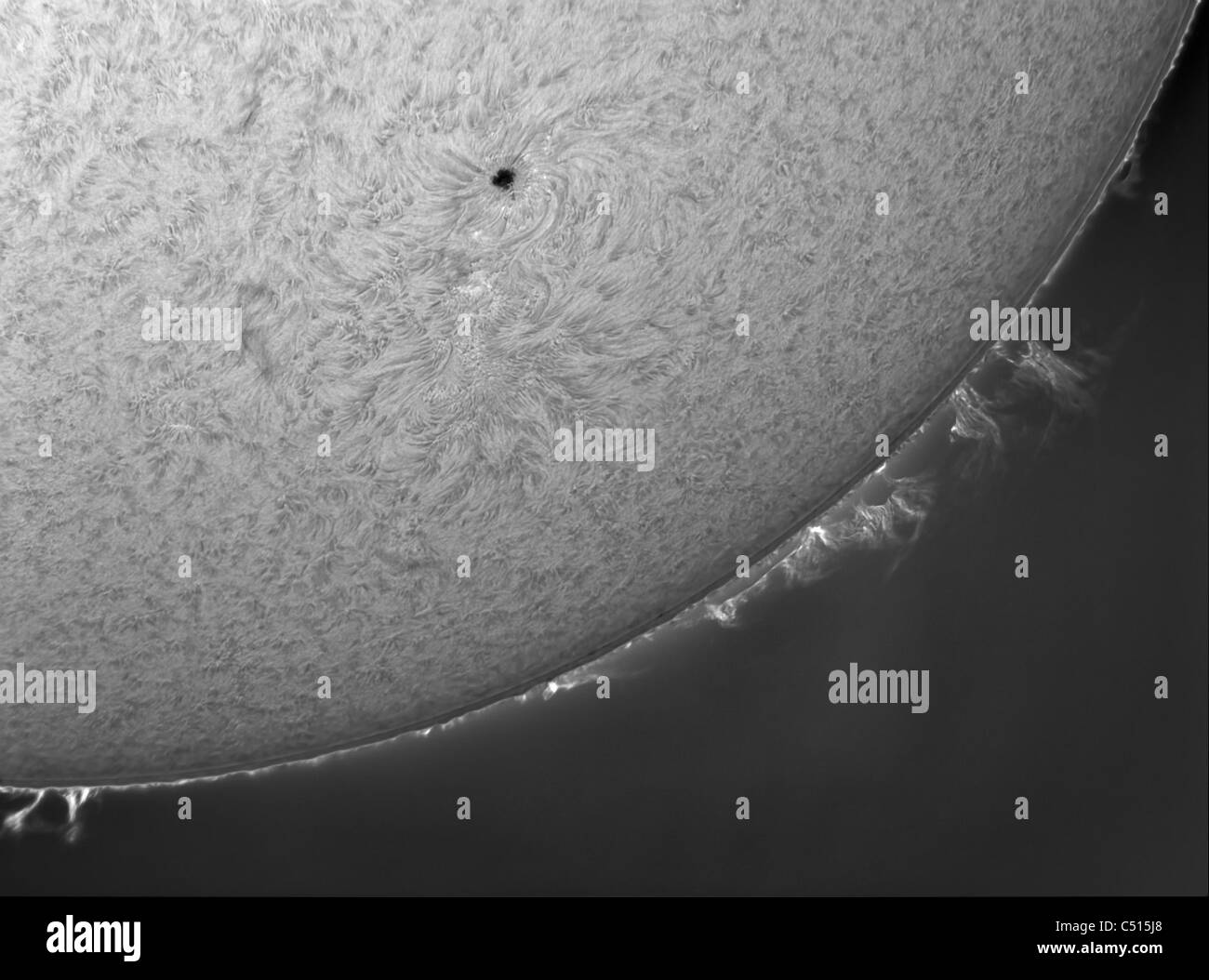 H-alfa Sun solare con sporgenze. Foto Stock
