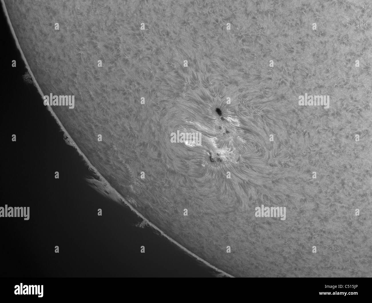 H-alfa Sun con le macchie solari e sporgenze solare Foto Stock