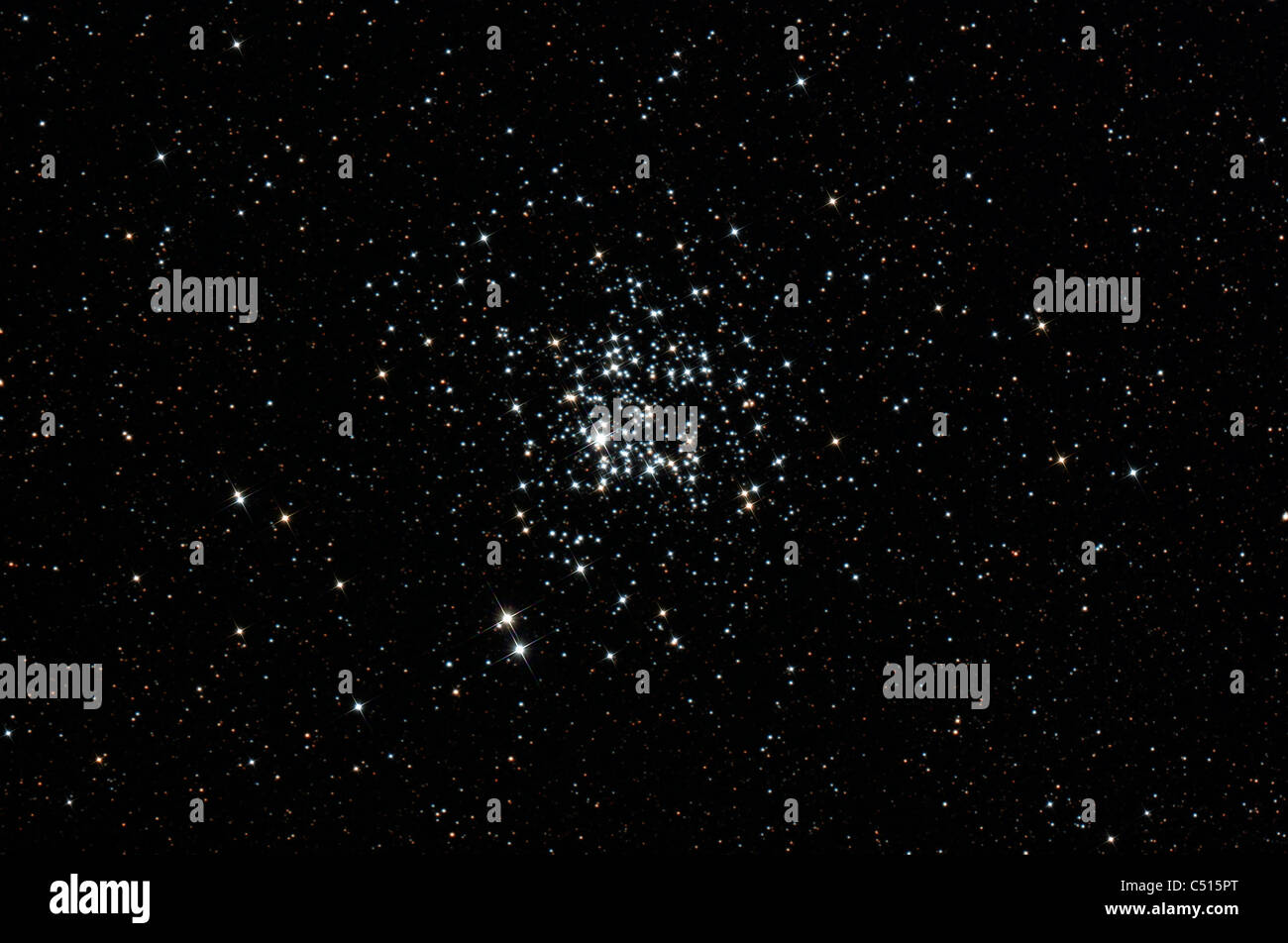 L'anatra selvatica cluster, nota anche come Messier 11, nella costellazione Scutum. Foto Stock