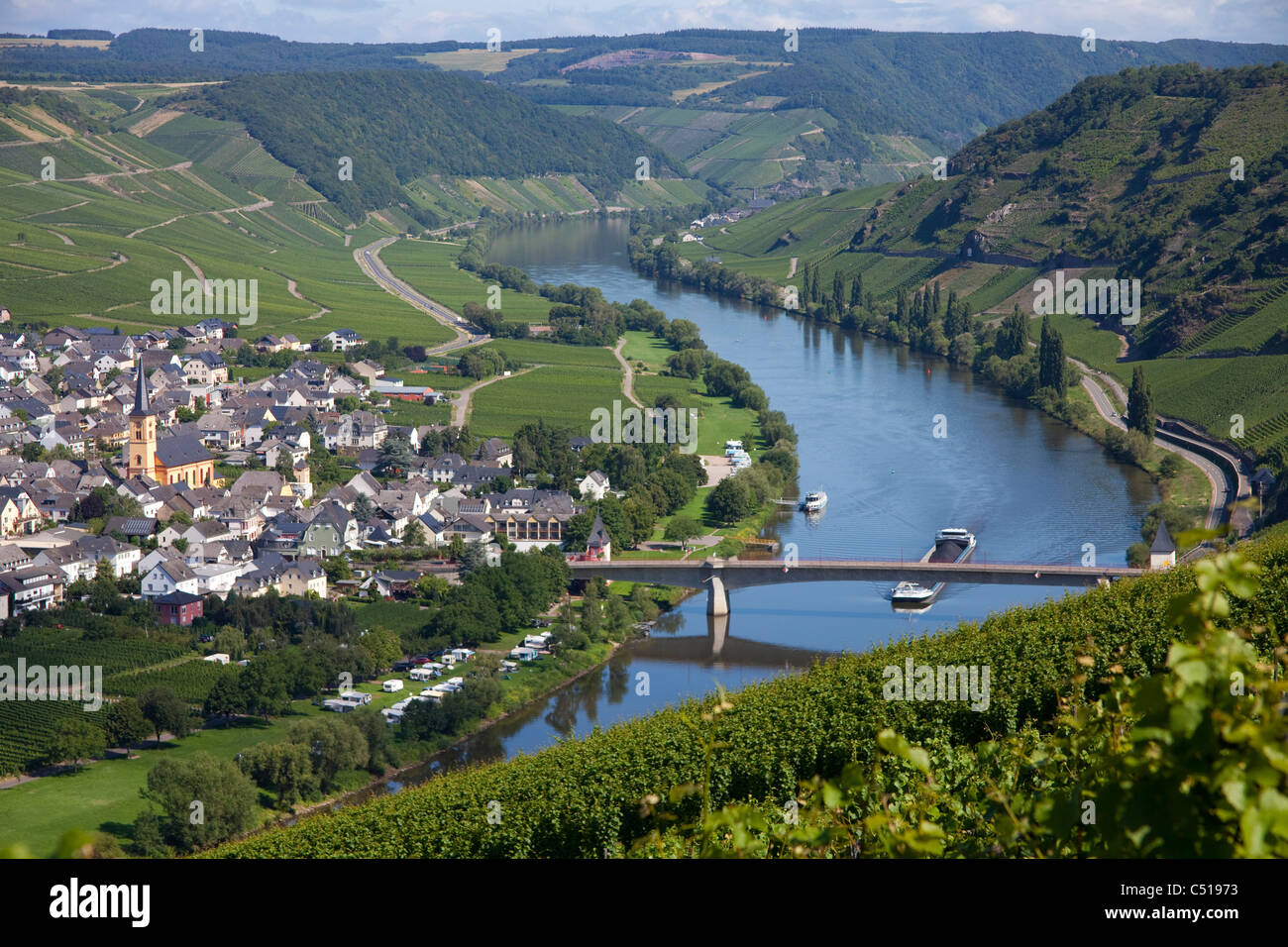 Il villaggio del vino trittenheim al fiume Moselle, RENANIA-PALATINATO, Germania Foto Stock