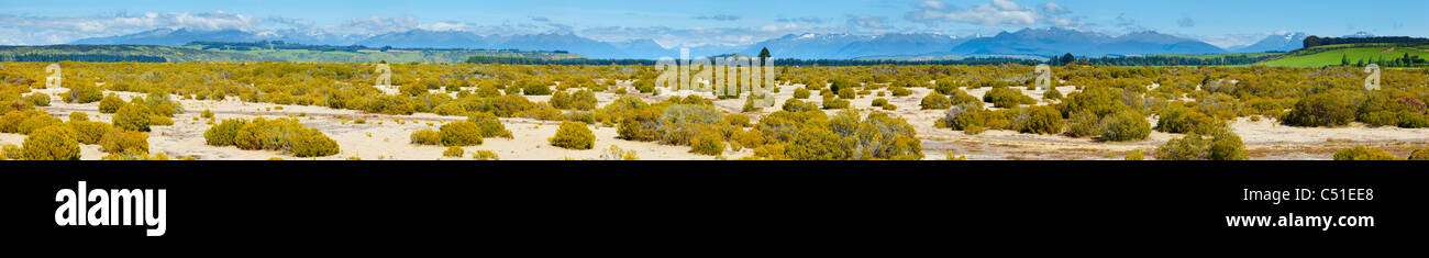 Vista panoramica della Nuova Zelanda campagna Foto Stock