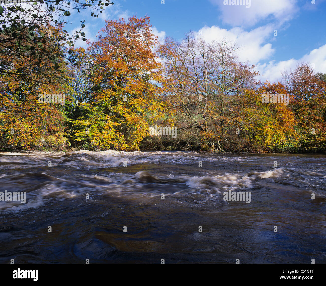 Fiume sommerso Derwent a Leadmill Bridge, Hathersage, Peak District, Derbyshire. REGNO UNITO. Foto Stock