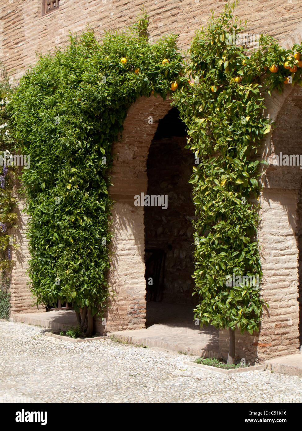 Granada Spagna Alhambra Generalife giardino antico arco arancio Foto Stock