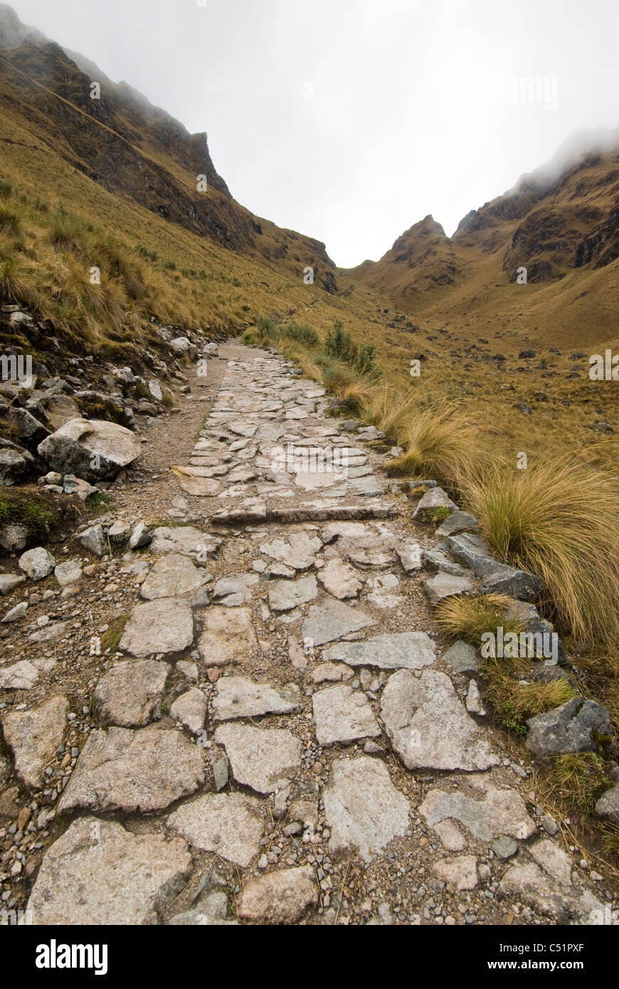 Inca Trail avvicinando 13,775-ft donna morta (Warmiwanusca) passano nelle Ande peruviane Foto Stock