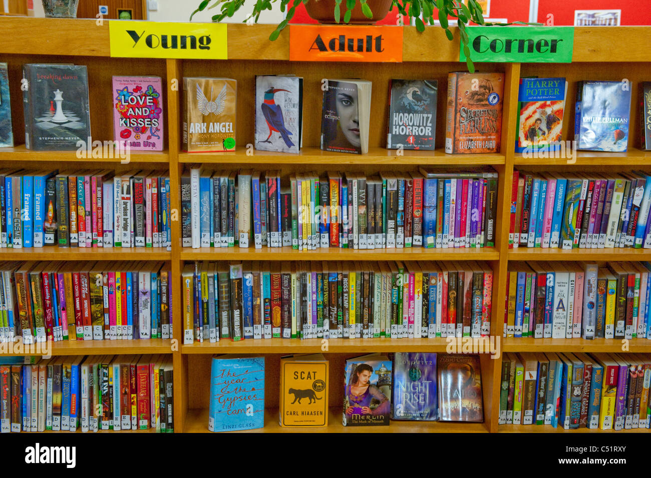 Interno della biblioteca pubblica (primo piano di file di libri su librerie di legno - fiction per giovani adulti) - Baillon, Yorkshire, Inghilterra, UK. Foto Stock