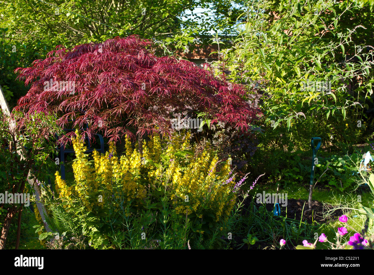 Incolto Giardino Inglese ricco di fiori, arbusti e alberi. Foto Stock