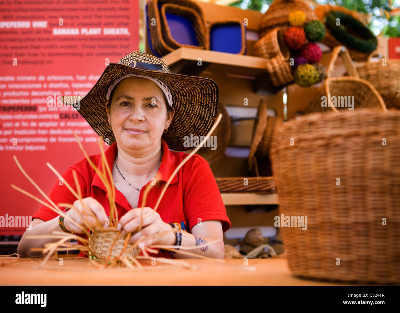 Una femmina di cestello colombiano weaver Foto Stock