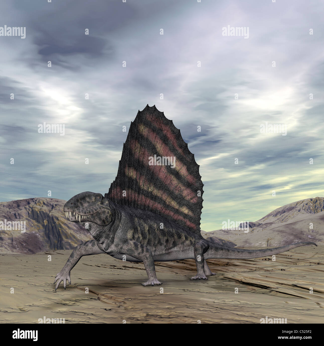 Dimetrodon grandis attraversa la terra durante il Permiano precoce periodo. Foto Stock