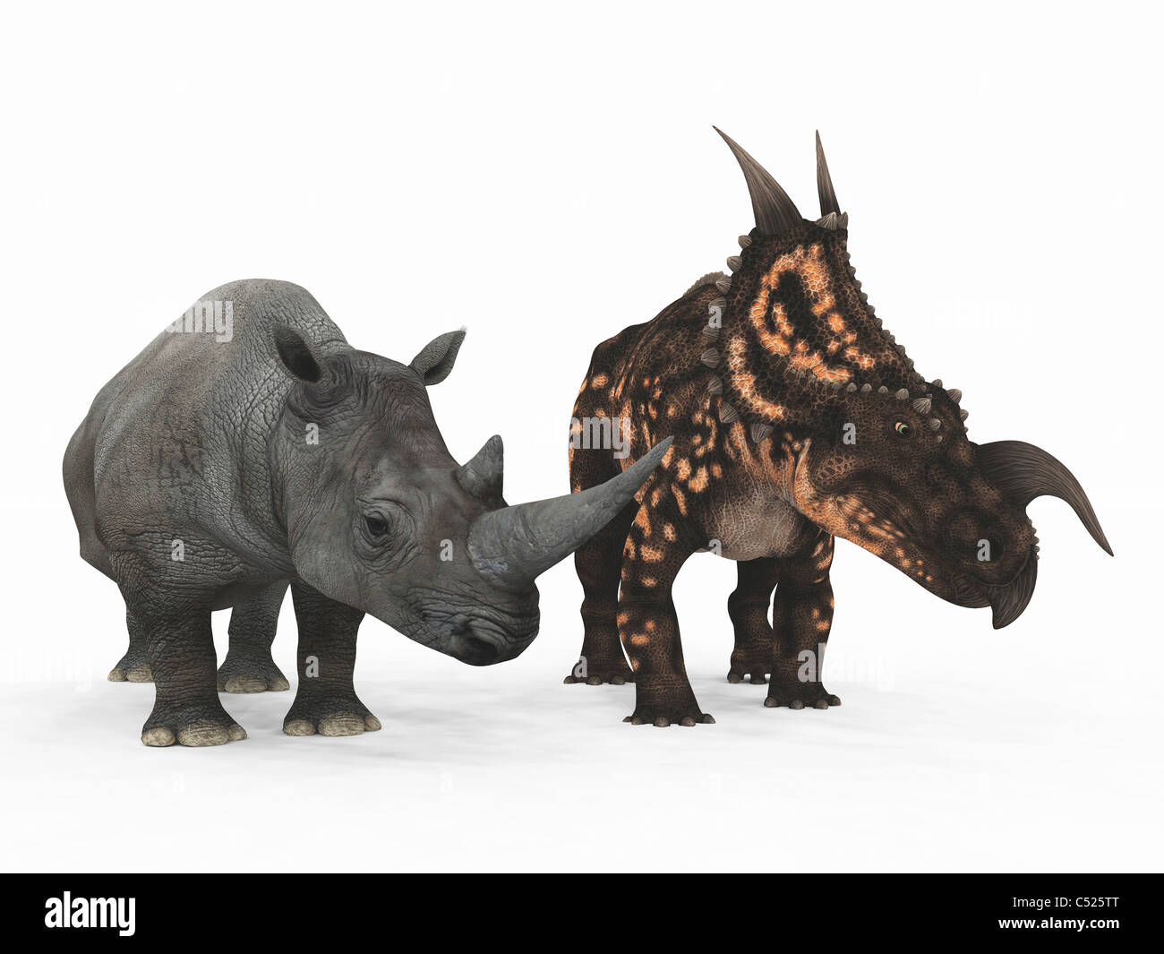 Un adulto Einiosaurus rispetto a un moderno adulto rinoceronte bianco. Foto Stock