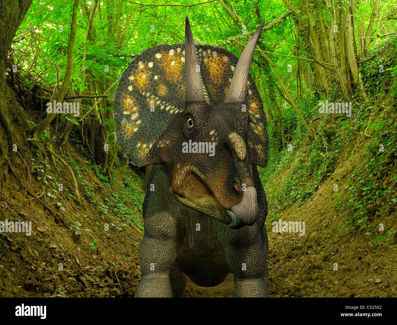 Un Nedoceratops vagabonda Cretaceo foresta. Foto Stock
